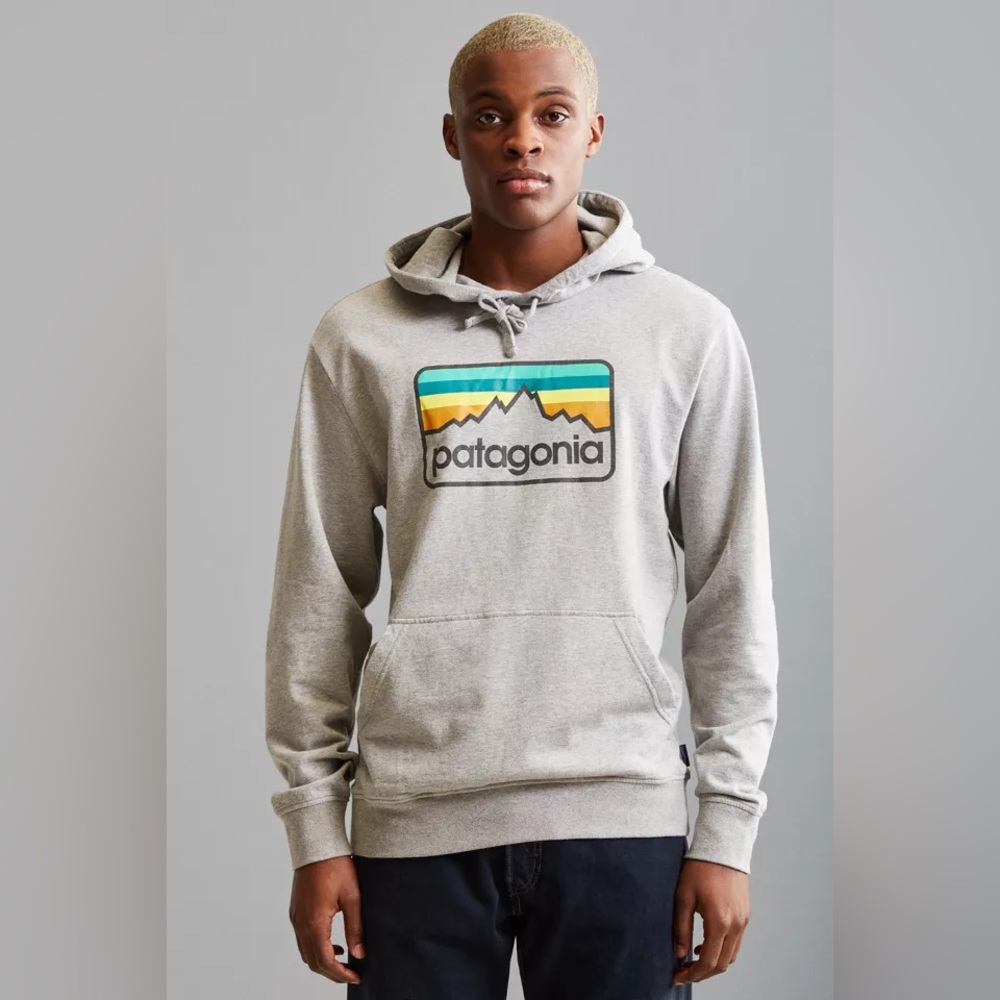 Patagonia Gray Sweatshirt with Mountain Graphic Sz M